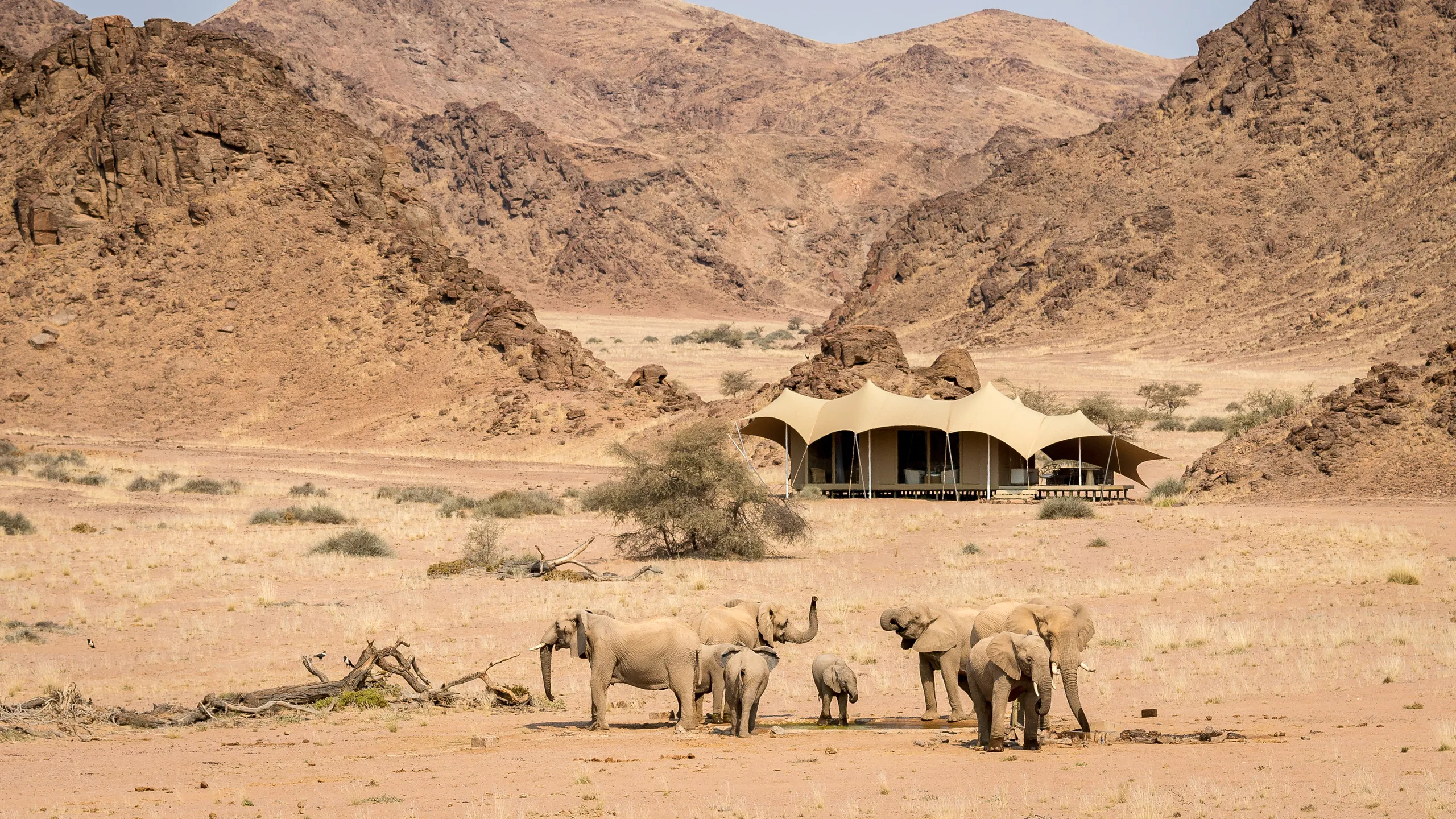 Glamping safari in Namibia 