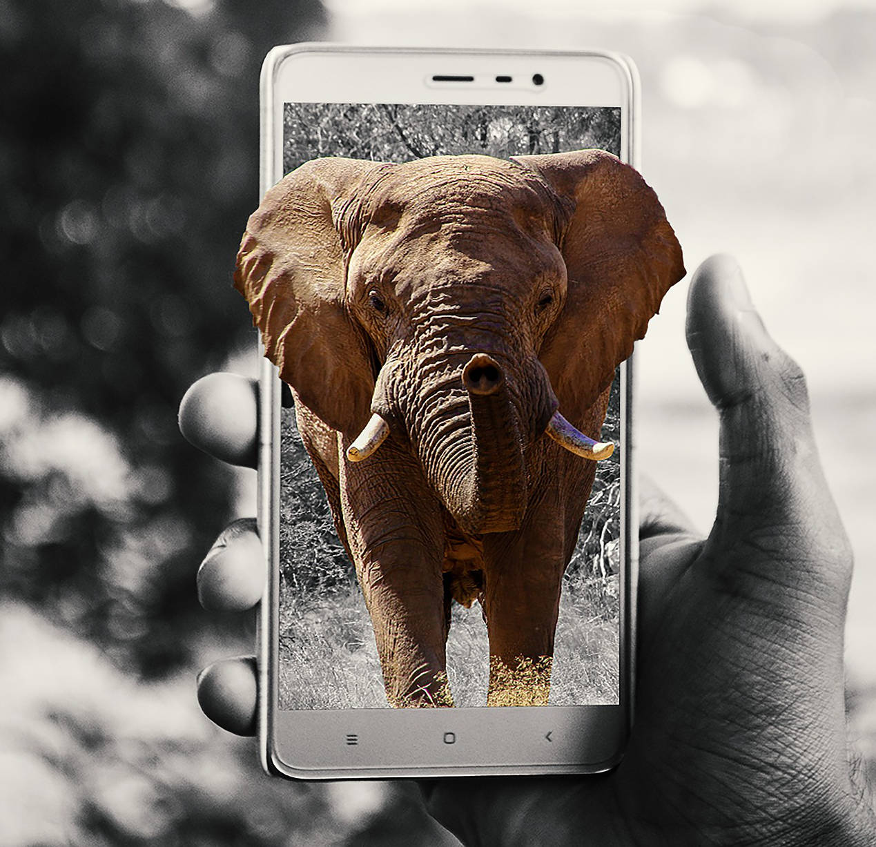 Smartphone in Namibia? Detox no?