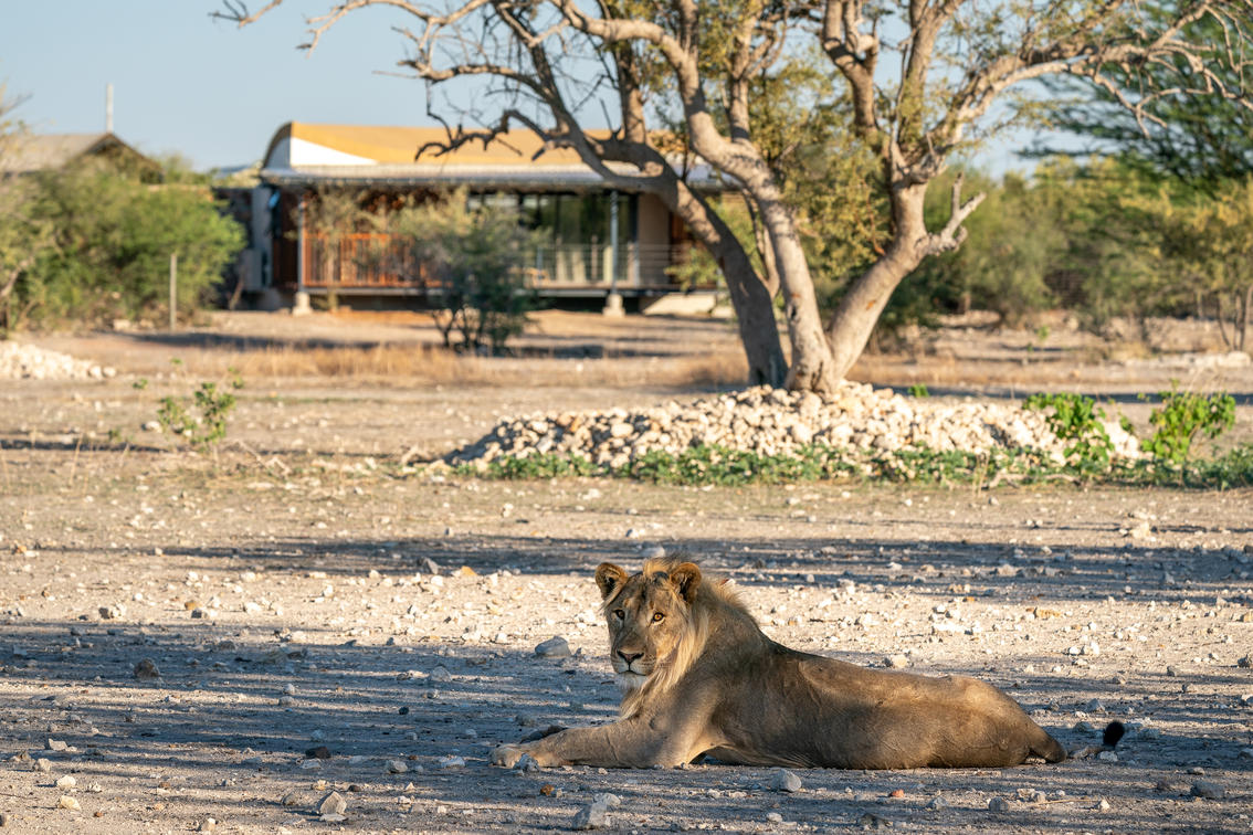 Luxury Namibia in self drive o con guida