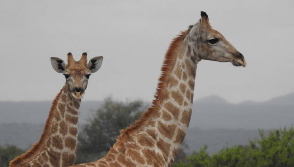 PASQUA IN NAMIBIA CON TOUR LEADER DALL'ITALIA E CATE