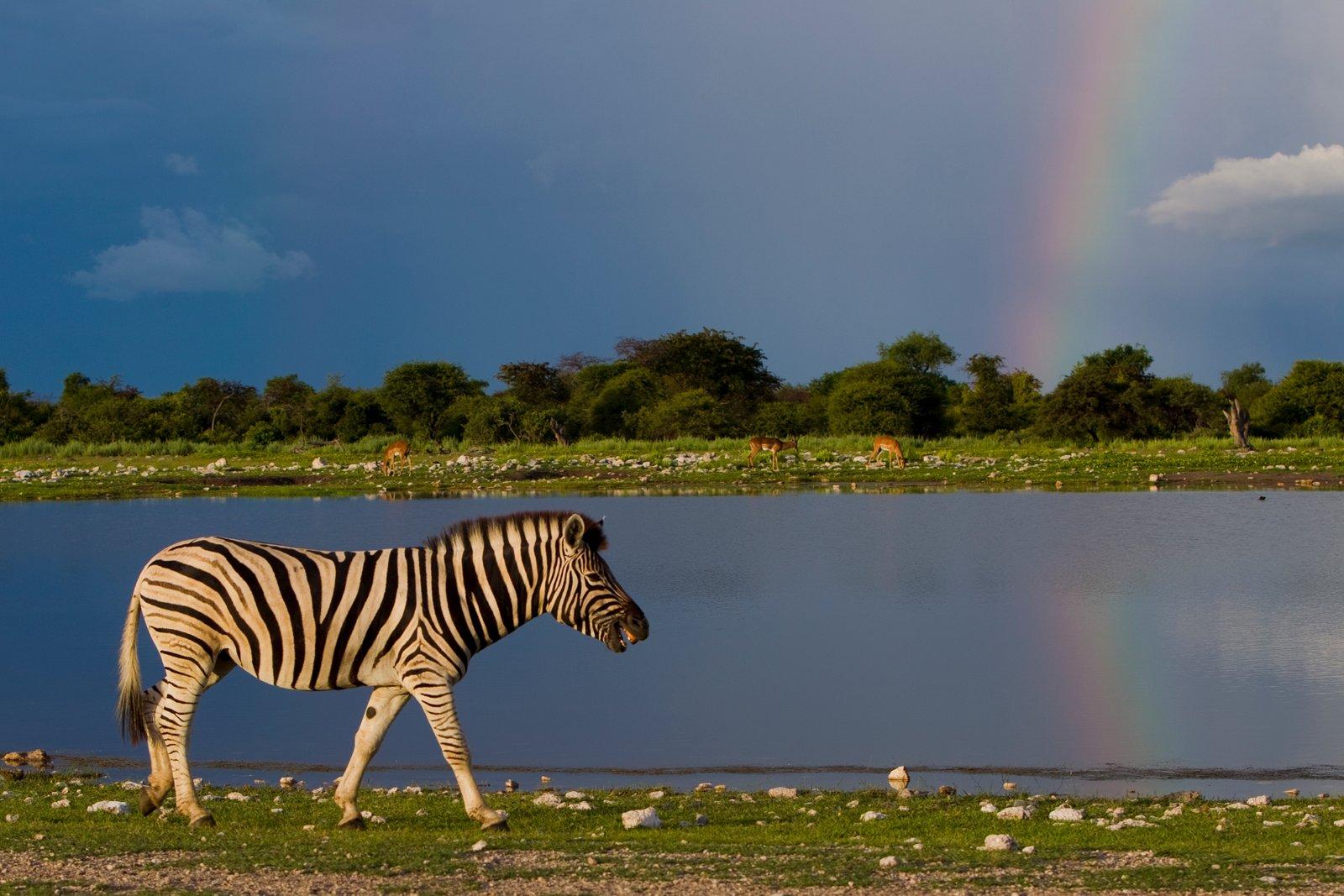 NAMIBIA: NON SOLO AD AGOSTO. L’AFRICA TI ASPETTA TUTTO L’ANNO