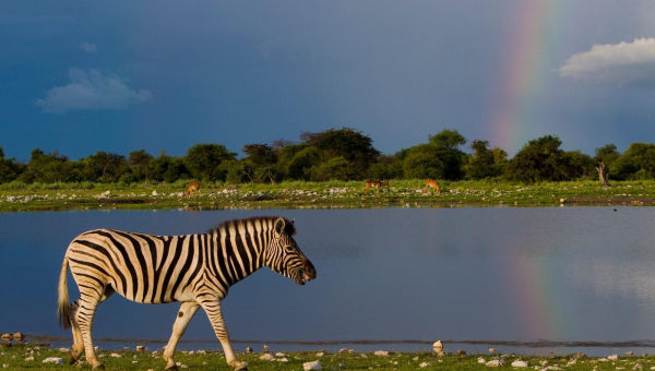 NAMIBIA: NON SOLO AD AGOSTO. L’AFRICA TI ASPETTA TUTTO L’ANNO